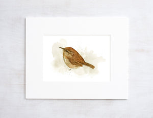 Carolina Wren Watercolor Painting 5x7 Print