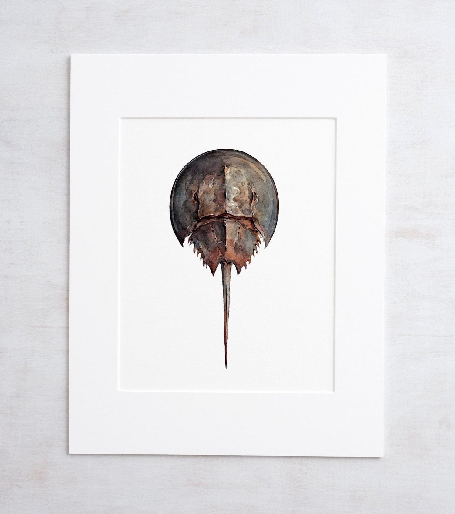 Horseshoe Crab Watercolor Painting, Seashore Beach Print