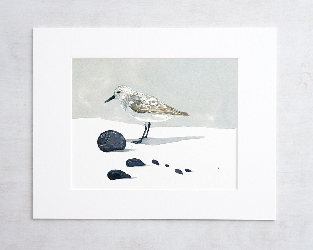 Sandpiper Watercolor Print, Coastal Wall Art, Shorebird Beach Decor