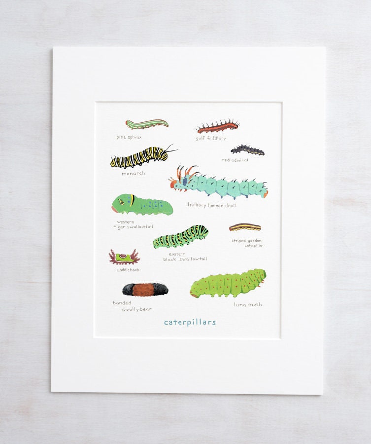 Caterpillars Print, Colorful Kids Art Print, Nature Painting, Kids Science Art