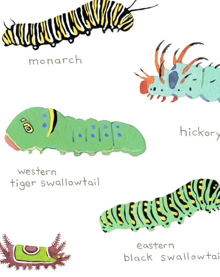 Caterpillars Print, Colorful Kids Art Print, Nature Painting, Kids Science Art