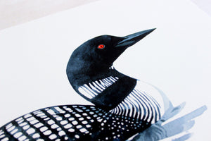 Loon Art Print Bird Watercolor Painting, Coastal Wall Art, Lakehouse Decor