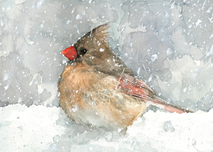 Female Cardinal Watercolor Art Print, Bird In Snow Painting, Backyard Birds