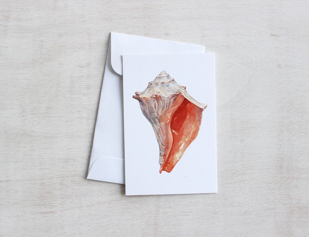 Small Note Cards Beach Shells Set, Mini Gift Note Card Set - studiotuesday