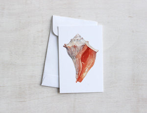 Small Note Cards Beach Shells Set, Mini Gift Note Card Set