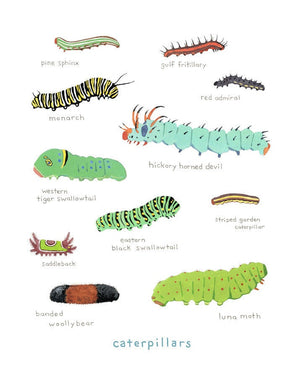 Caterpillars Print, Colorful Kids Art Print, Nature Painting, Kids Science Art