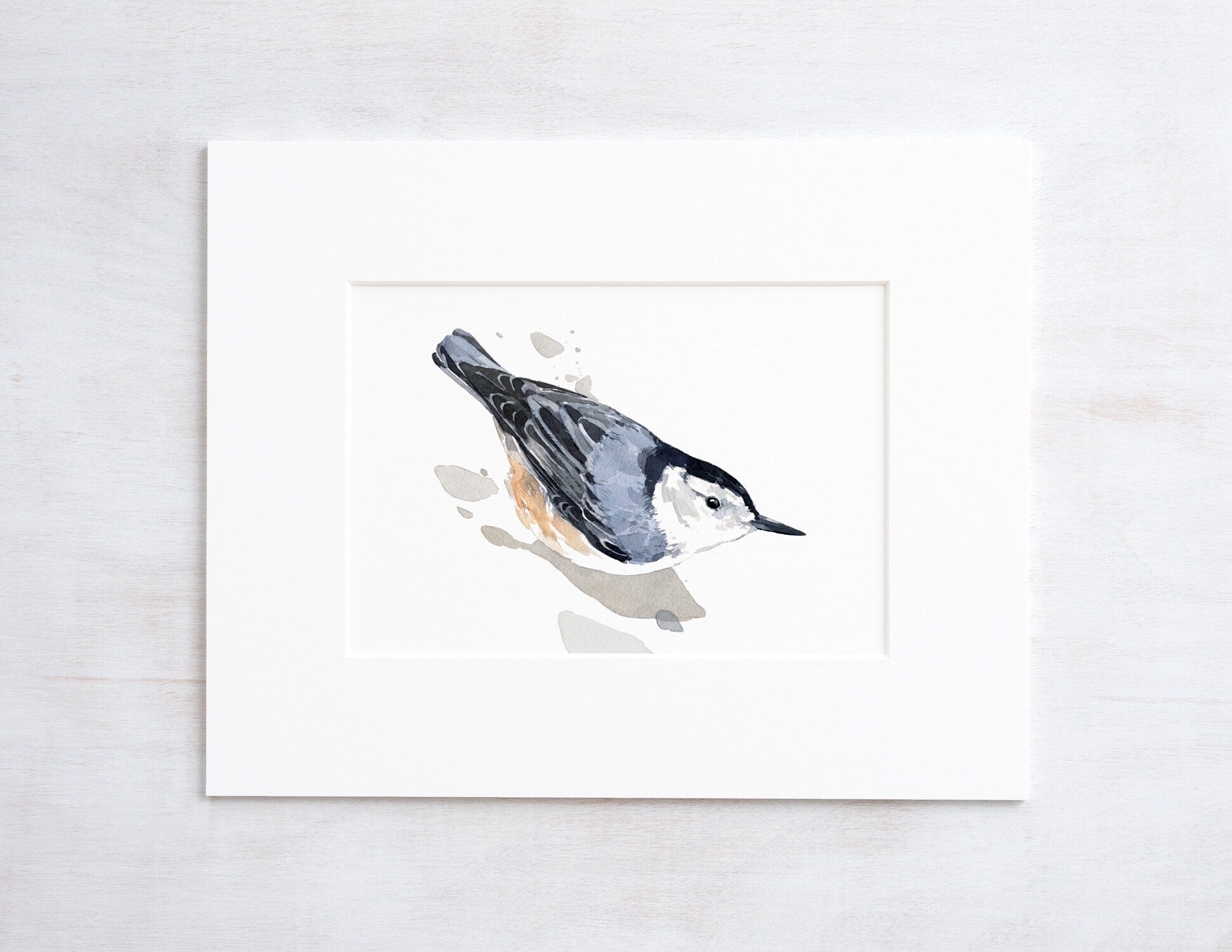 Nuthatch Watercolor Print, Bird Painting Wall Art