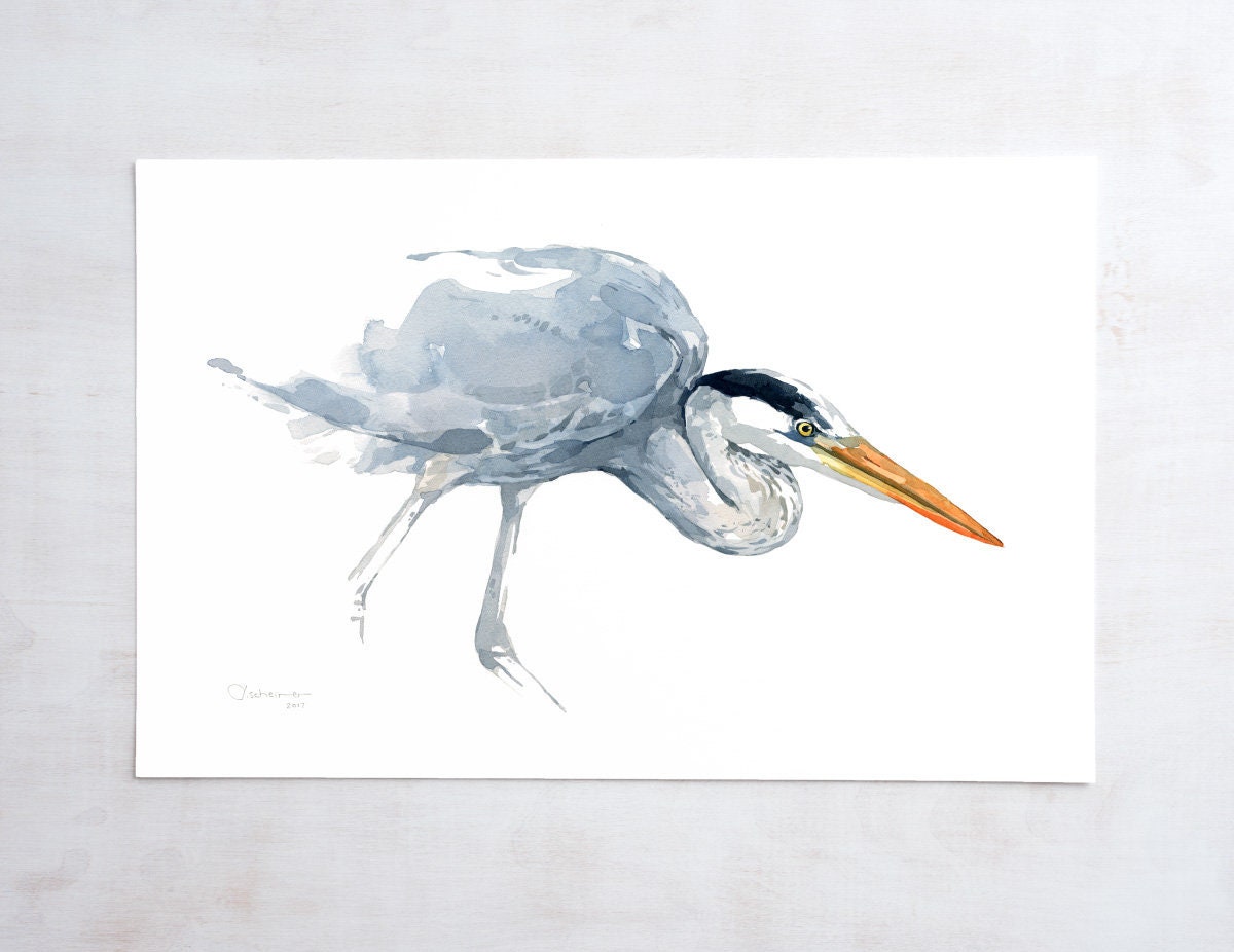 Great Blue Heron Watercolor Study Print, Coastal Bird Wall Art