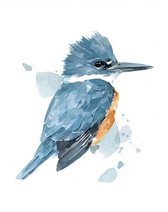Kingfisher Watercolor Print, Bird Painting Wall Art