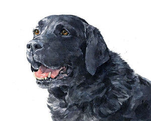 Black Lab Dog Art Print, Labrador Retriever Watercolor Painting, 8x10 Limited Edition