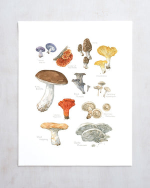 Edible Mushrooms Botanical Print, Kitchen Wall Decor, Woodland Plants Chart