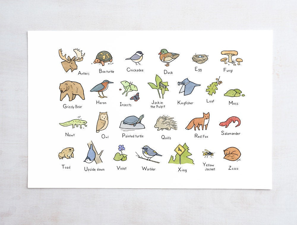 Woodland Art Alphabet, Woodland Baby Shower Gift, Forest Animals Wall Art, Nursery Art Print