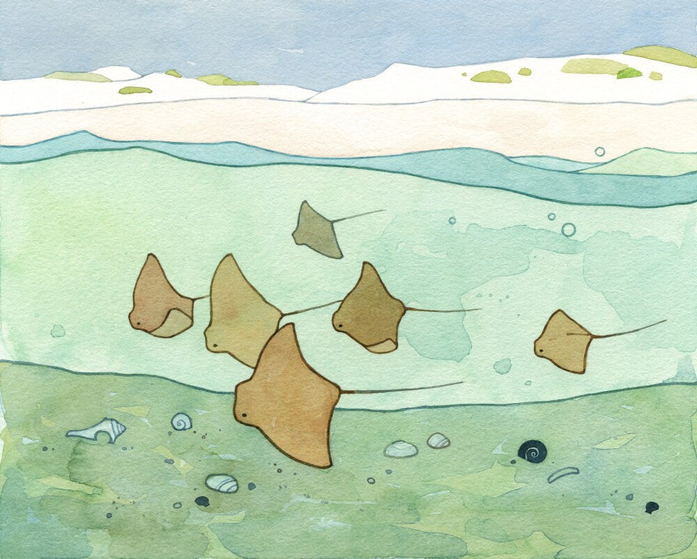 Stingrays Art Print, Cownose Rays Watercolor Beach Print, Nautical Decor