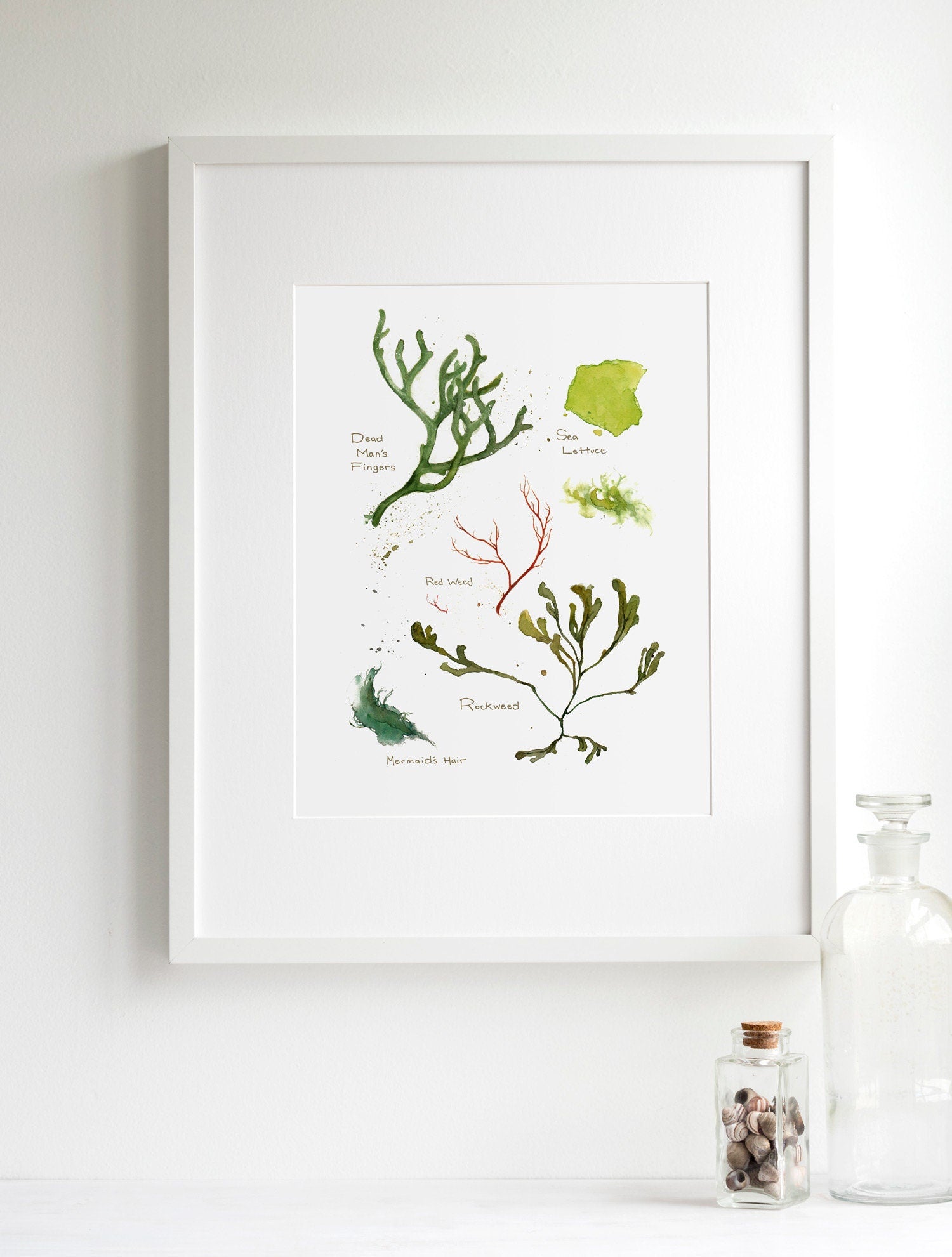 Seaweed Botanical Watercolor Art Print Beach Decor