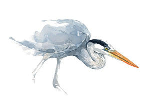 Great Blue Heron Watercolor Study Print, Coastal Bird Wall Art