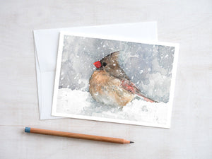 Holiday Card Set Winter Birds - 10 cards, Watercolor Winter Holiday Stationery, Cardinal, Chickadee, Sparrow, Sparrow