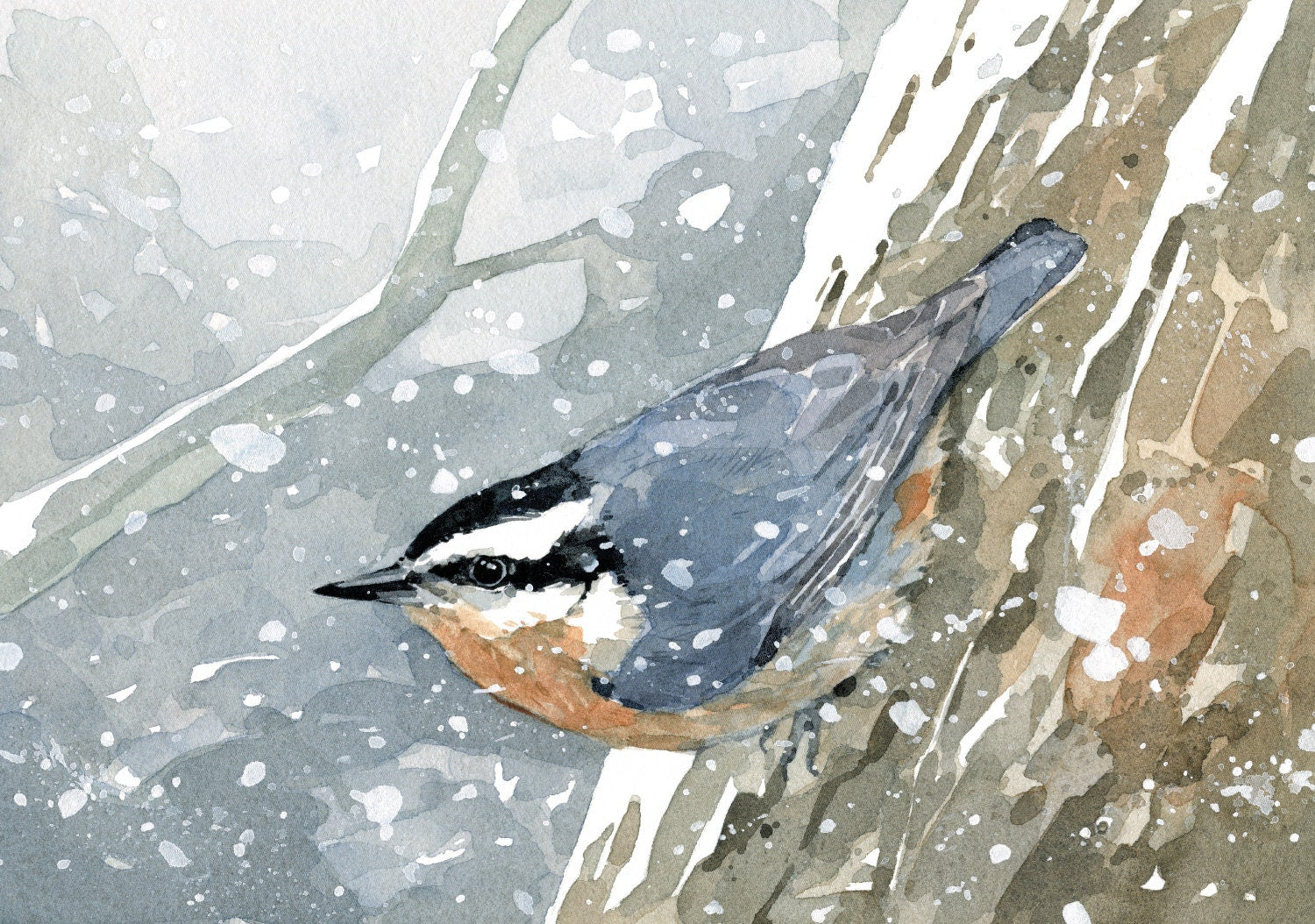 Nuthatch in Snow Watercolor Print, Bird Wall Art, Audubon Art