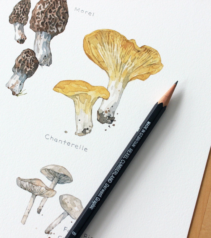 Edible Mushrooms Botanical Print, Kitchen Wall Decor, Woodland Plants Chart