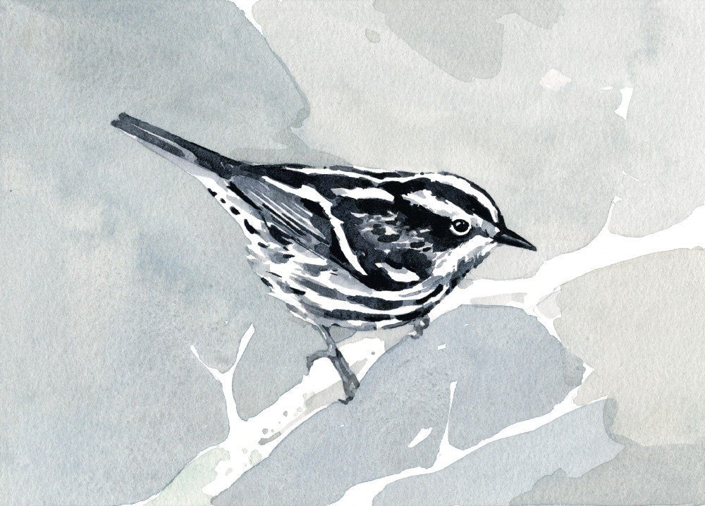 Black and White Warbler Watercolor Print, Small Bird Wall Art
