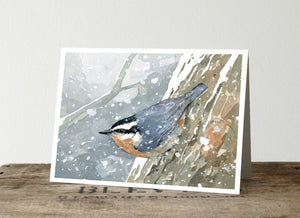 Nuthatch in Snow Christmas Card Set