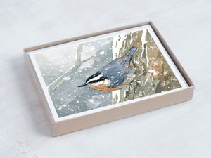 Nuthatch in Snow Christmas Card Set