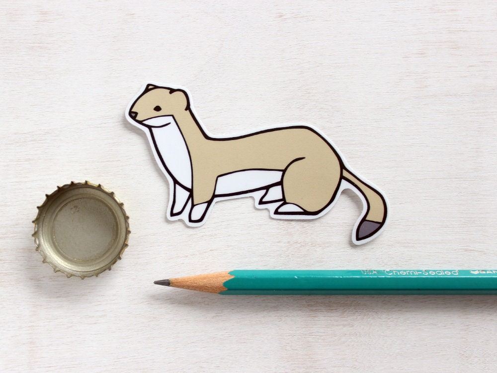 Weasel Vinyl Sticker, Whimsical Animal Illustration