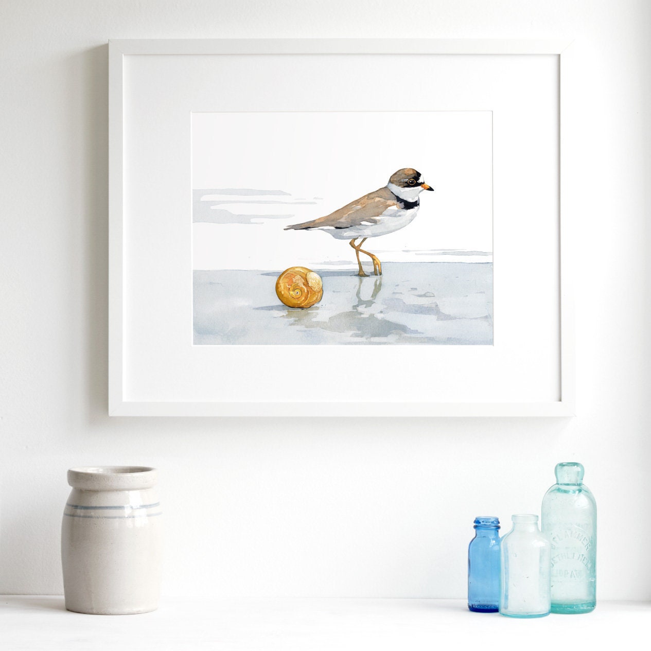 Semipalmated Plover, Shorebird and Shell Watercolor Print, Seaside Print, Beach Art Painting, Sharks Eye Shell