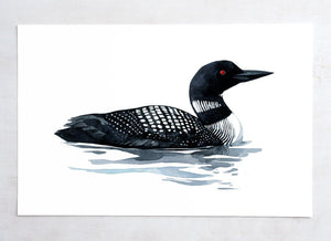 Loon Art Print Bird Watercolor Painting, Coastal Wall Art, Lakehouse Decor