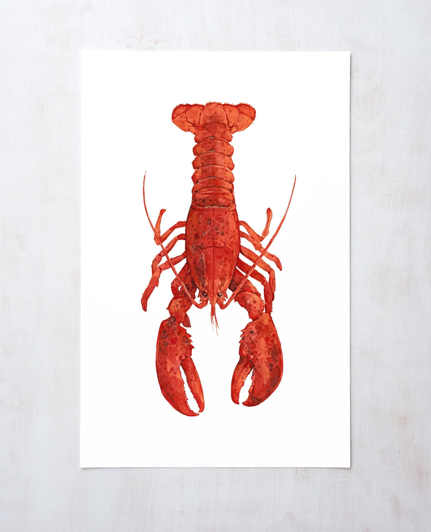 Red Lobster Watercolor Painting Print
