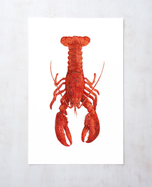 Red Lobster Watercolor Painting Print