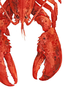 Red Lobster Watercolor Painting Print