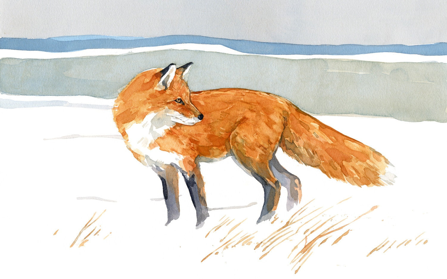 Red Fox Watercolor Print, Rustic Painting Wall Art. Fox in Dunes, Beach Art, Fox Field