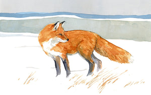 Red Fox Watercolor Print, Rustic Painting Wall Art. Fox in Dunes, Beach Art, Fox Field