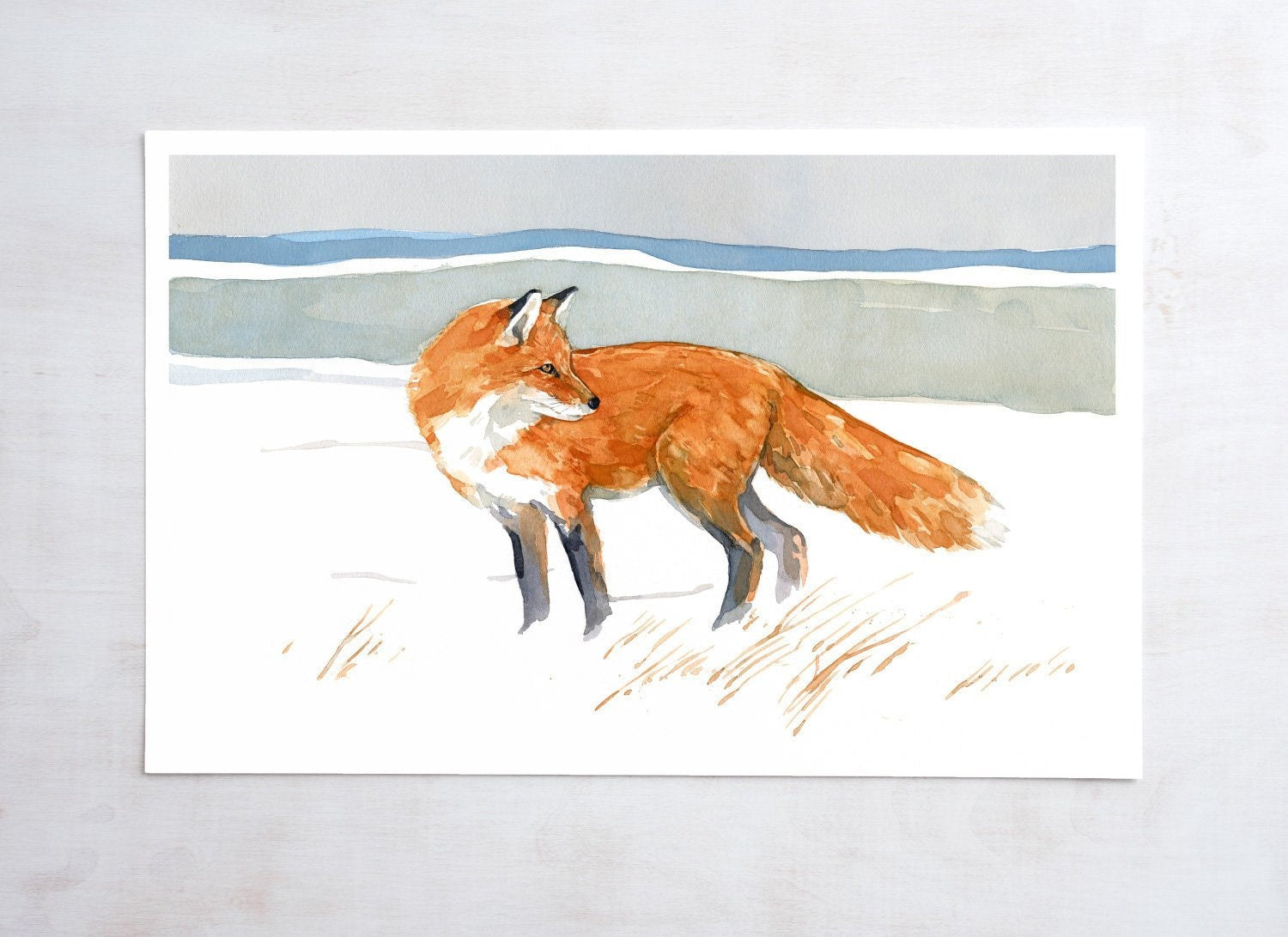 Red Fox Watercolor Print, Rustic Painting Wall Art. Fox in Dunes, Beach Art, Fox Field
