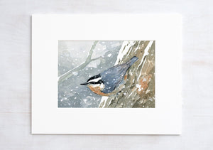 Nuthatch in Snow Watercolor Print, Bird Wall Art, Audubon Art