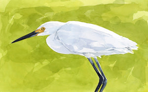 Snowy Egret Watercolor Print, Coastal Wall Art, Bird Painting