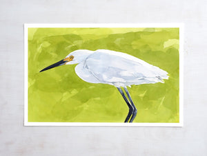 Snowy Egret Watercolor Print, Coastal Wall Art, Bird Painting
