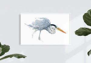 Great Blue Heron Watercolor Study Print, Coastal Bird Wall Art