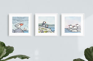 Coast Birds 5x5 Prints - Set of 3 - Pelican, Puffins, Terns