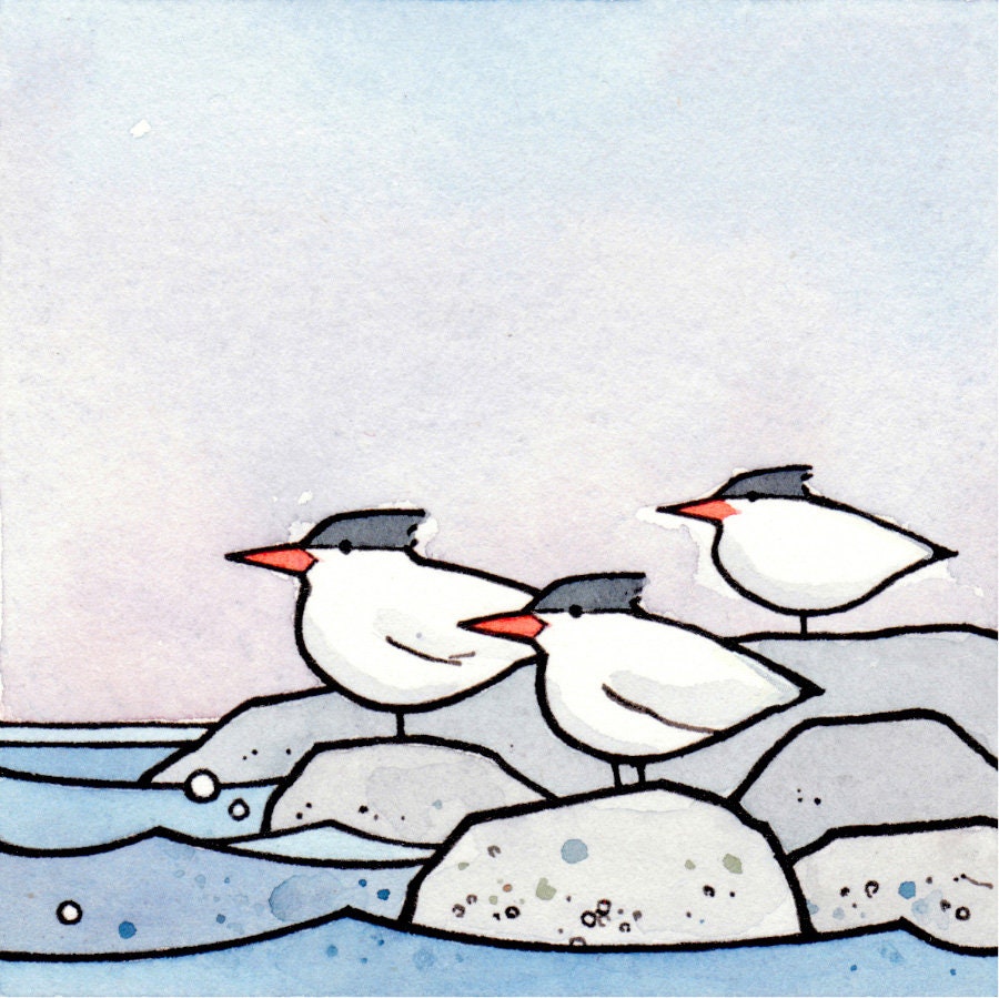 Coast Birds 5x5 Prints - Set of 3 - Pelican, Puffins, Terns