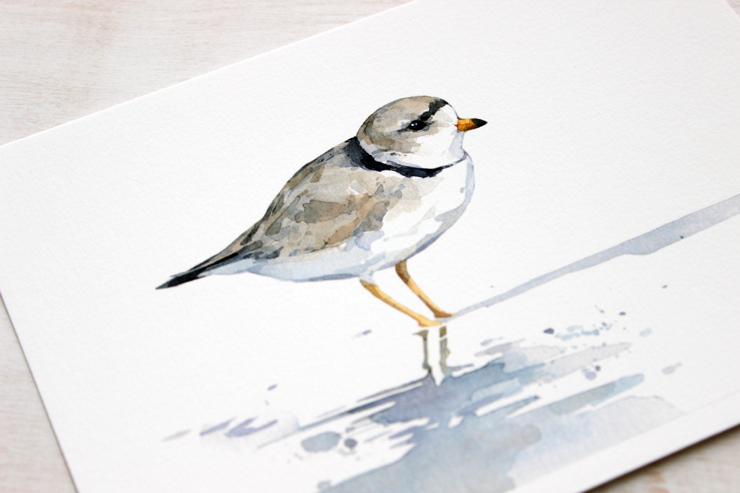 Piping Plover Watercolor Print, Sandpiper Beach Painting