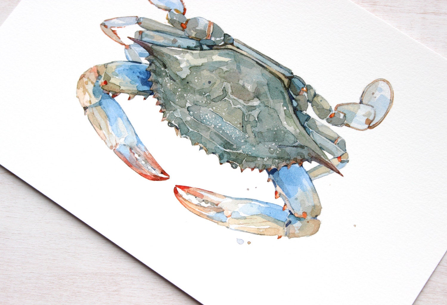 Blue Crab Watercolor Art Print, Coastal Decor, Crab Wall Art