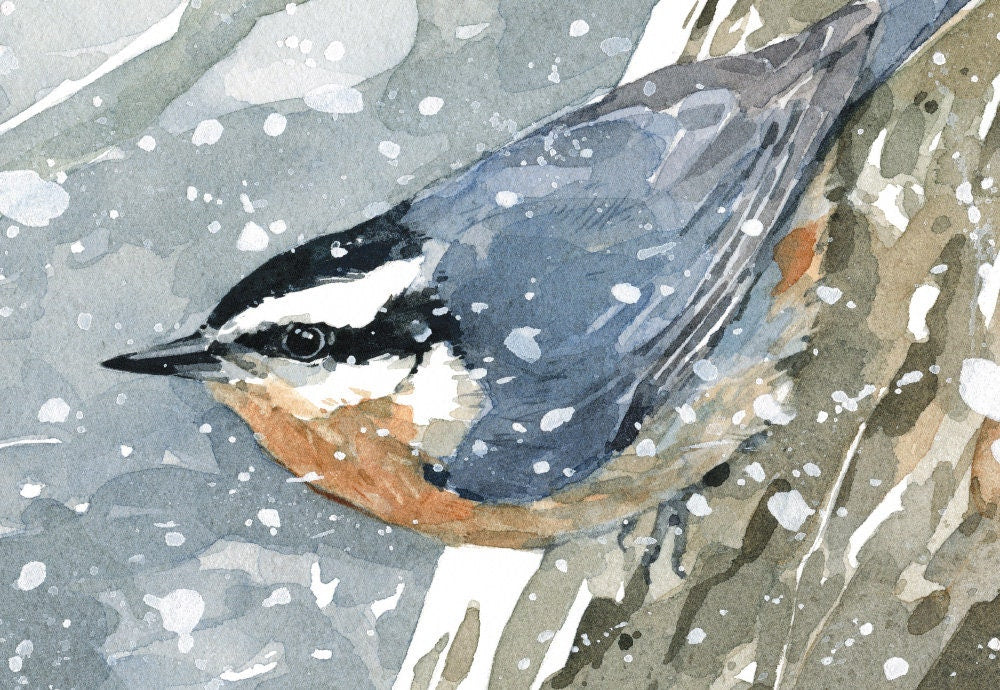 Nuthatch in Snow Watercolor Print, Bird Wall Art, Audubon Art