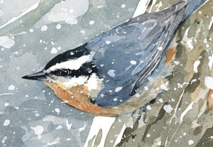 Nuthatch in Snow Watercolor Print, Bird Wall Art, Audubon Art