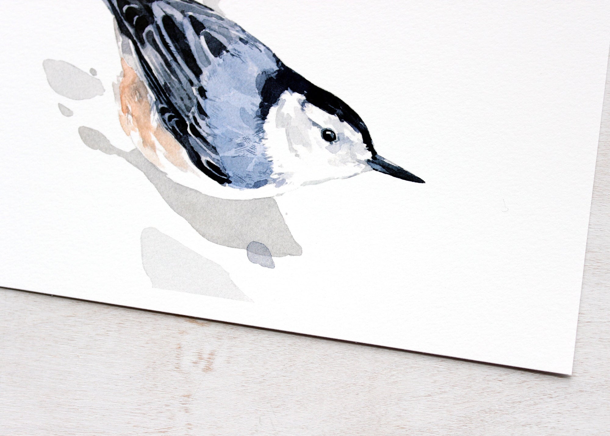 Nuthatch Watercolor Print, Bird Painting Wall Art