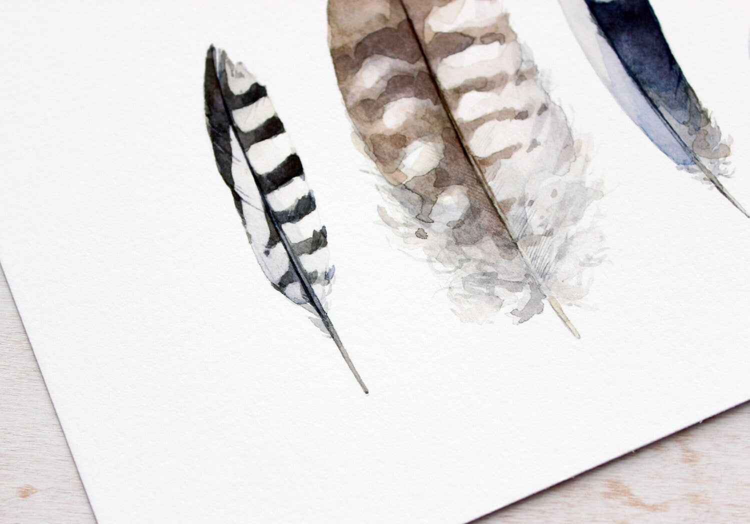 Striped Feathers Watercolor Painting, Backyard Bird Art