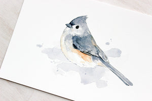 Tufted Titmouse Print, Bird Watercolor Painting, Bird Art