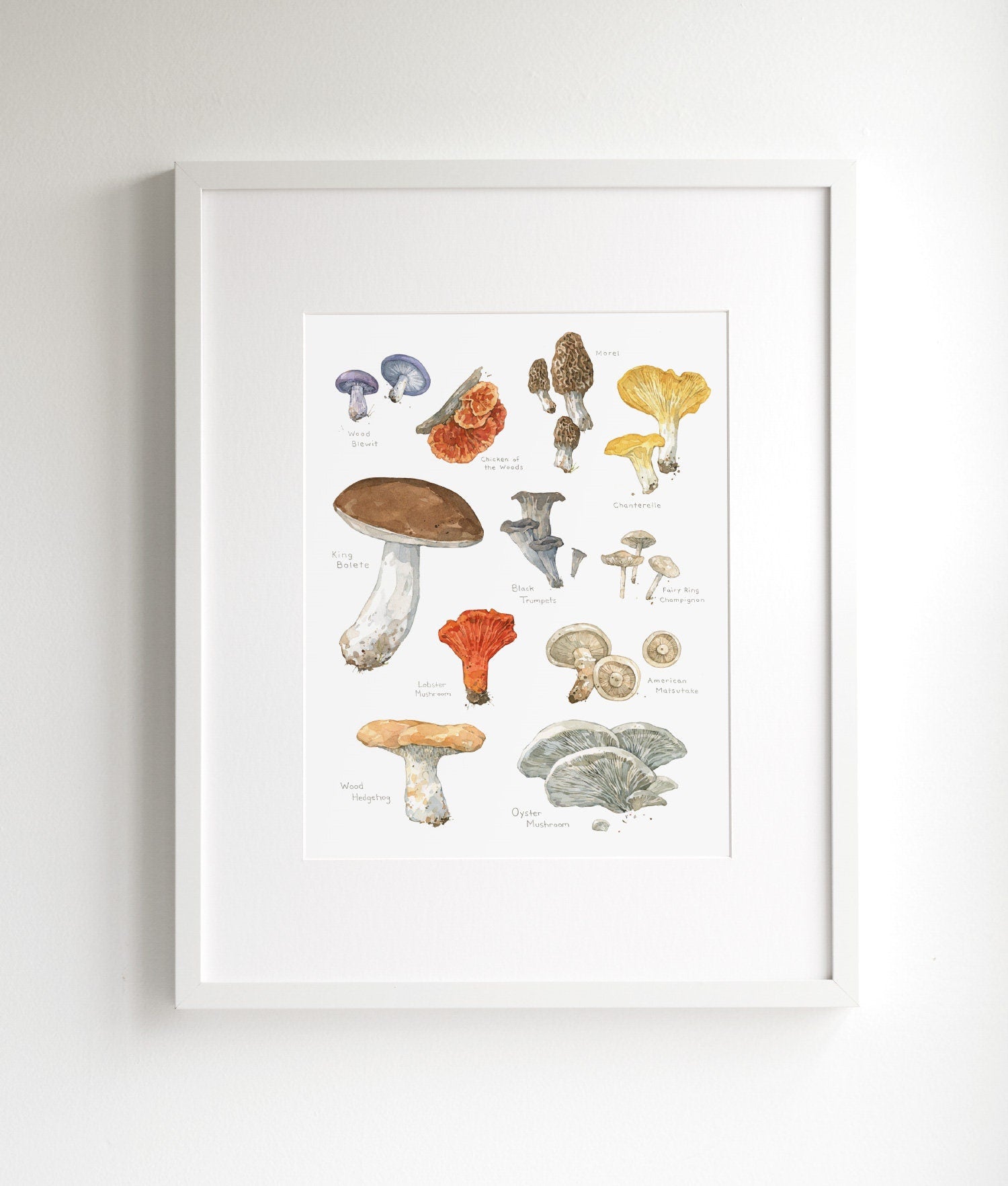 Edible Mushrooms Botanical Print, Kitchen Wall Decor, Woodland Plants Chart