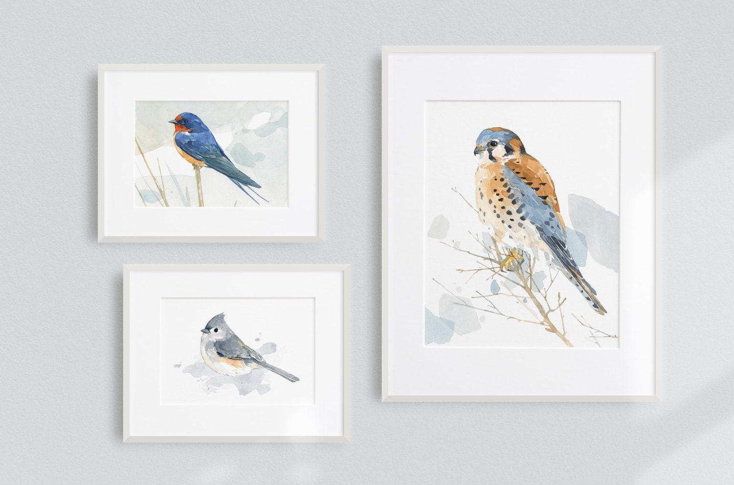 Tufted Titmouse Print, Bird Watercolor Painting, Bird Art