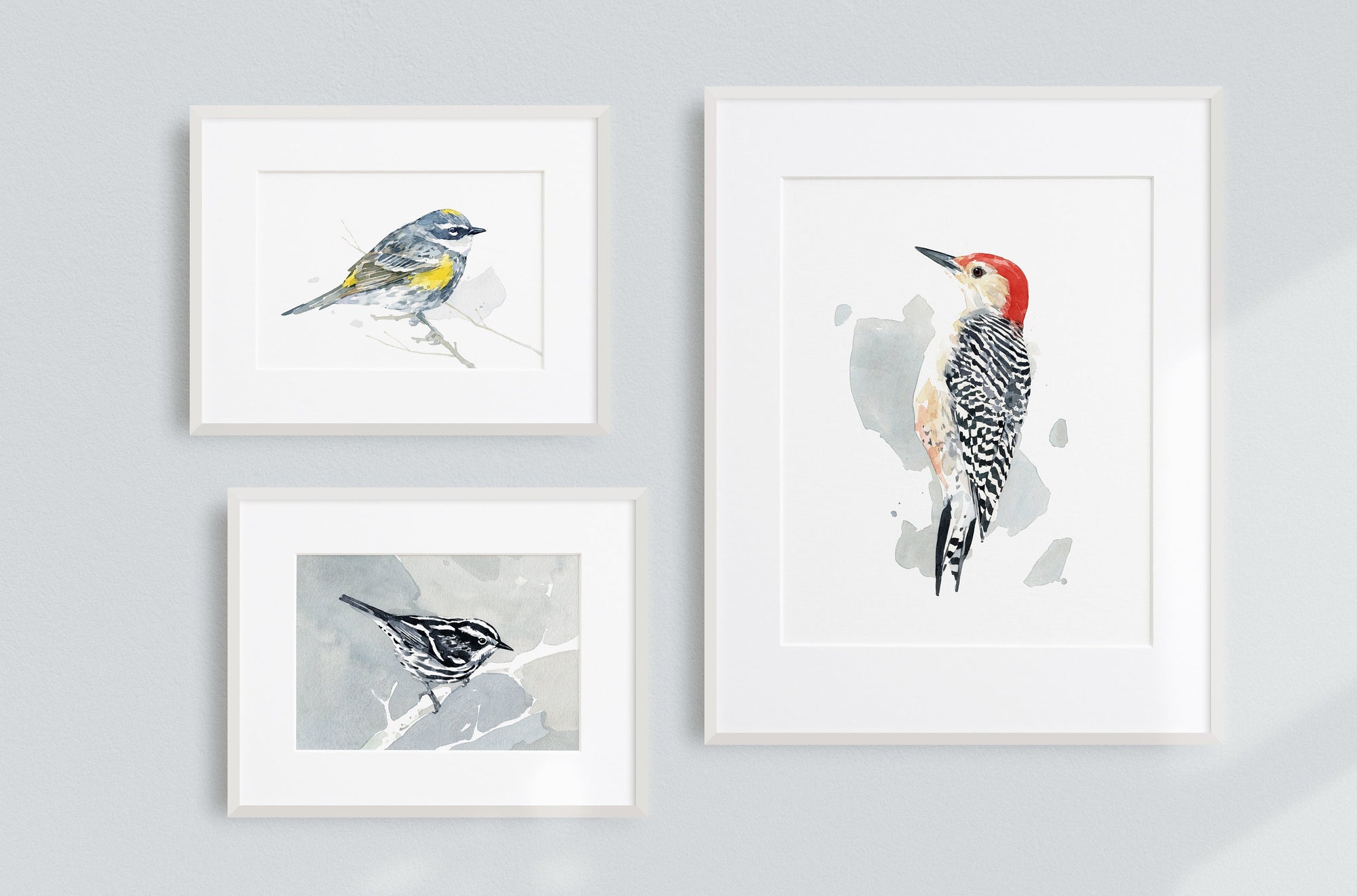 Black and White Warbler Watercolor Print, Small Bird Wall Art
